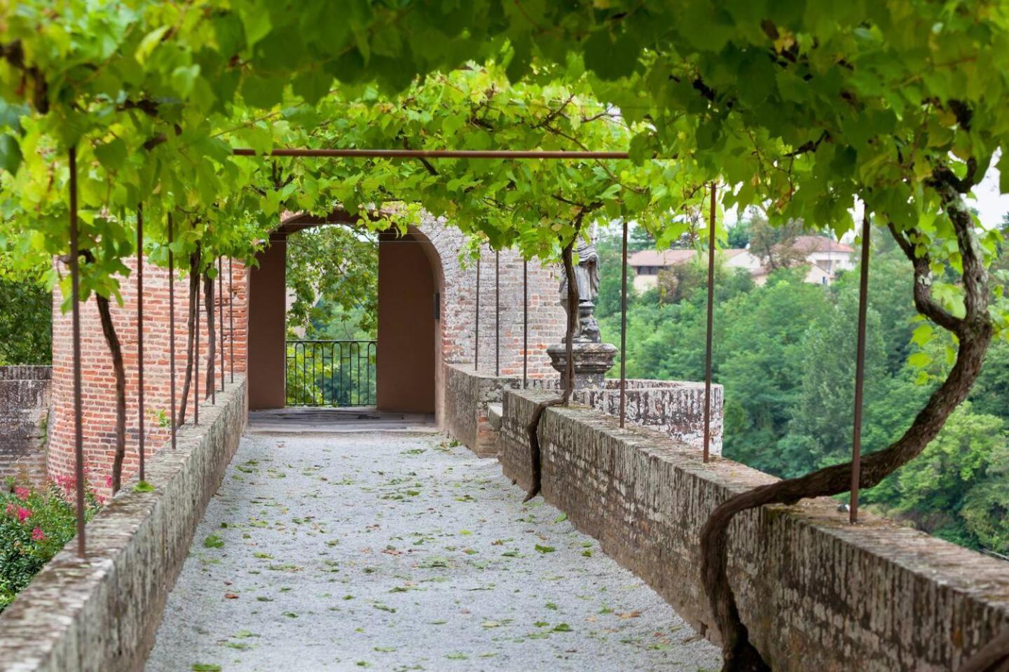 Appartement Albi Parking Gratuit Buitenkant foto